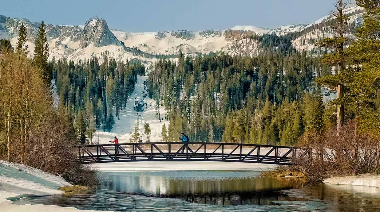XC_Ski