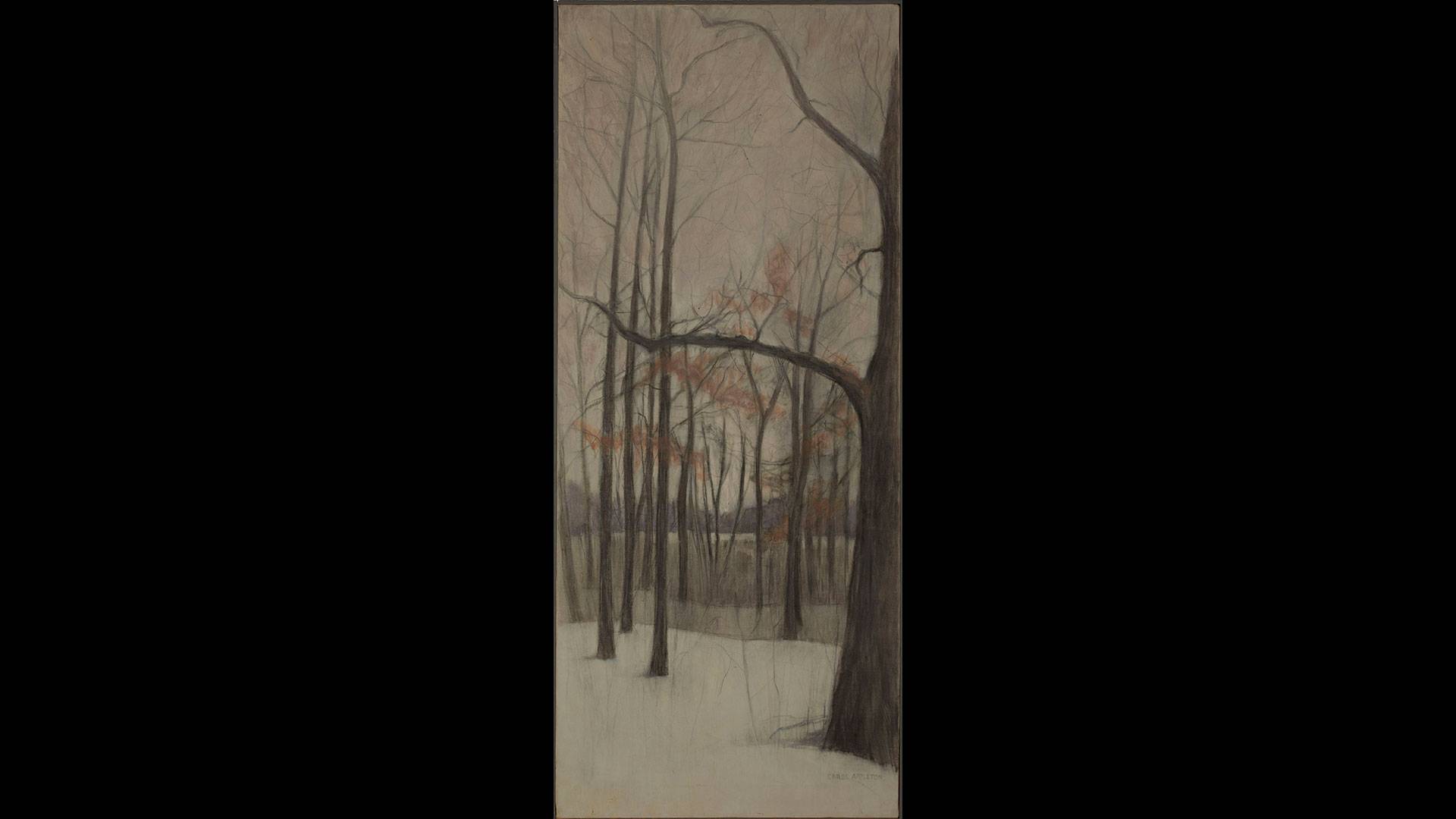 Our-michigan-woods