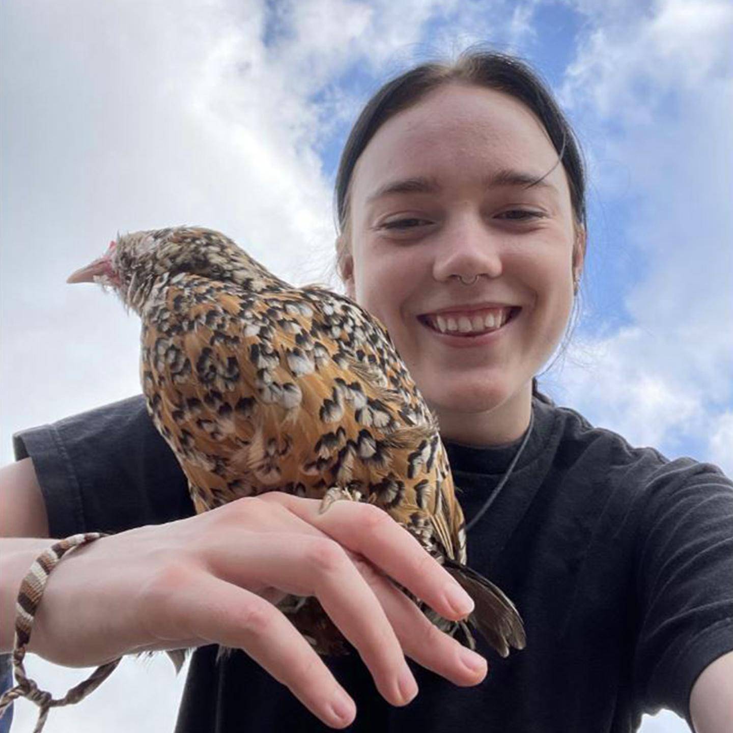 Mutiple media - Louise Hubbard service class with bird