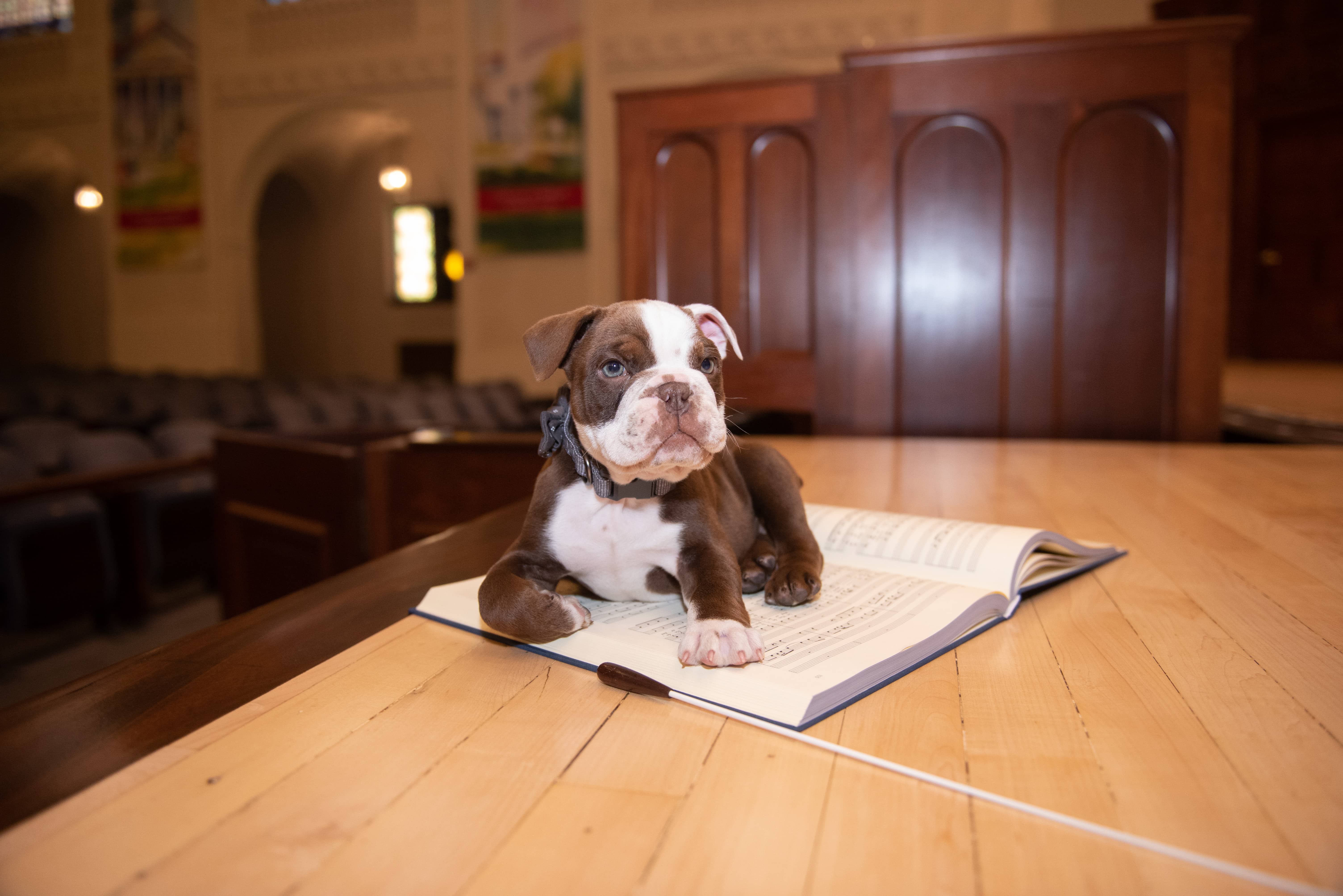 Mascot_George_20220503_CM-101 (1)