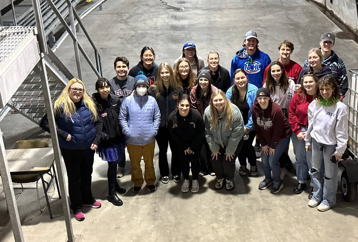 Screenshot 2024-11-21 105530