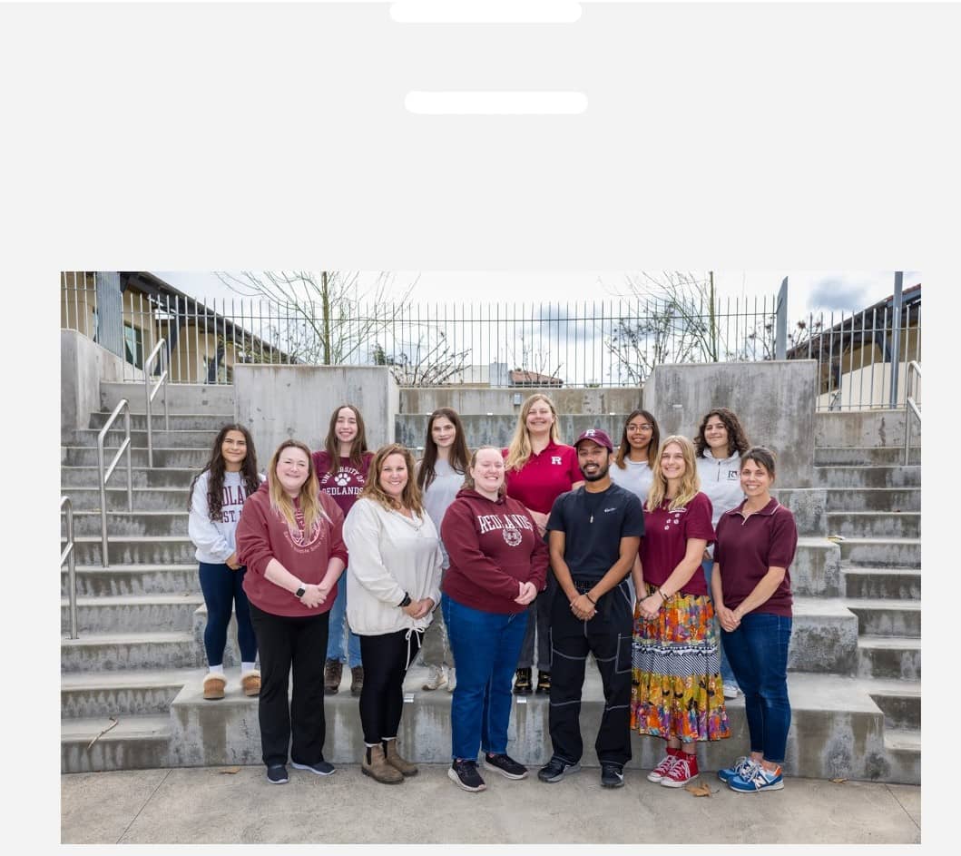 Screenshot 2024-11-07 110950