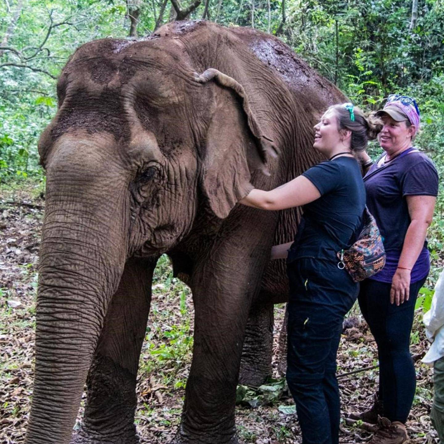 Mutiple media - Liberty Chesney on a study abroad semester in Cambodia 