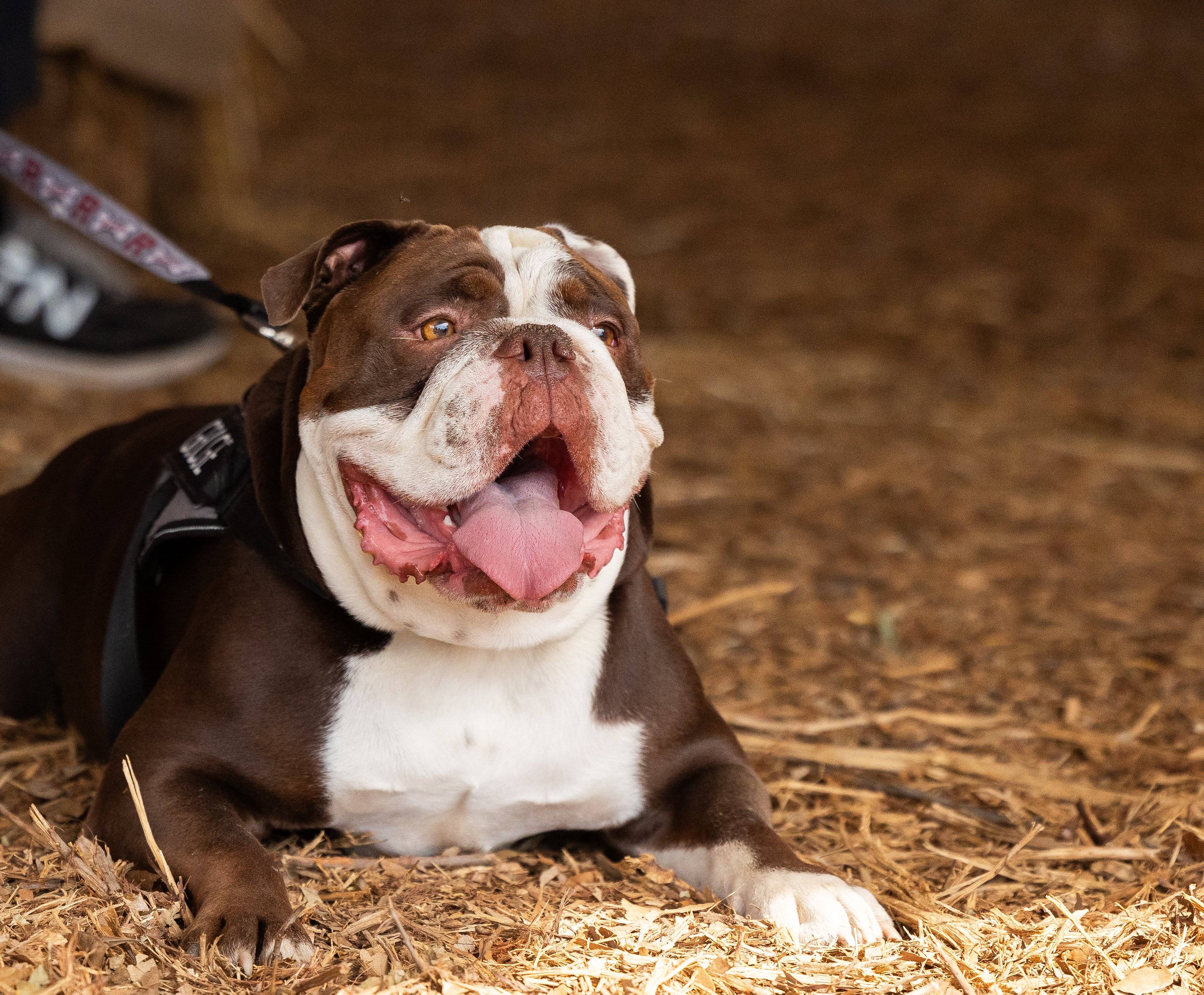 24-10-26 Farm Fest-FP - 0442