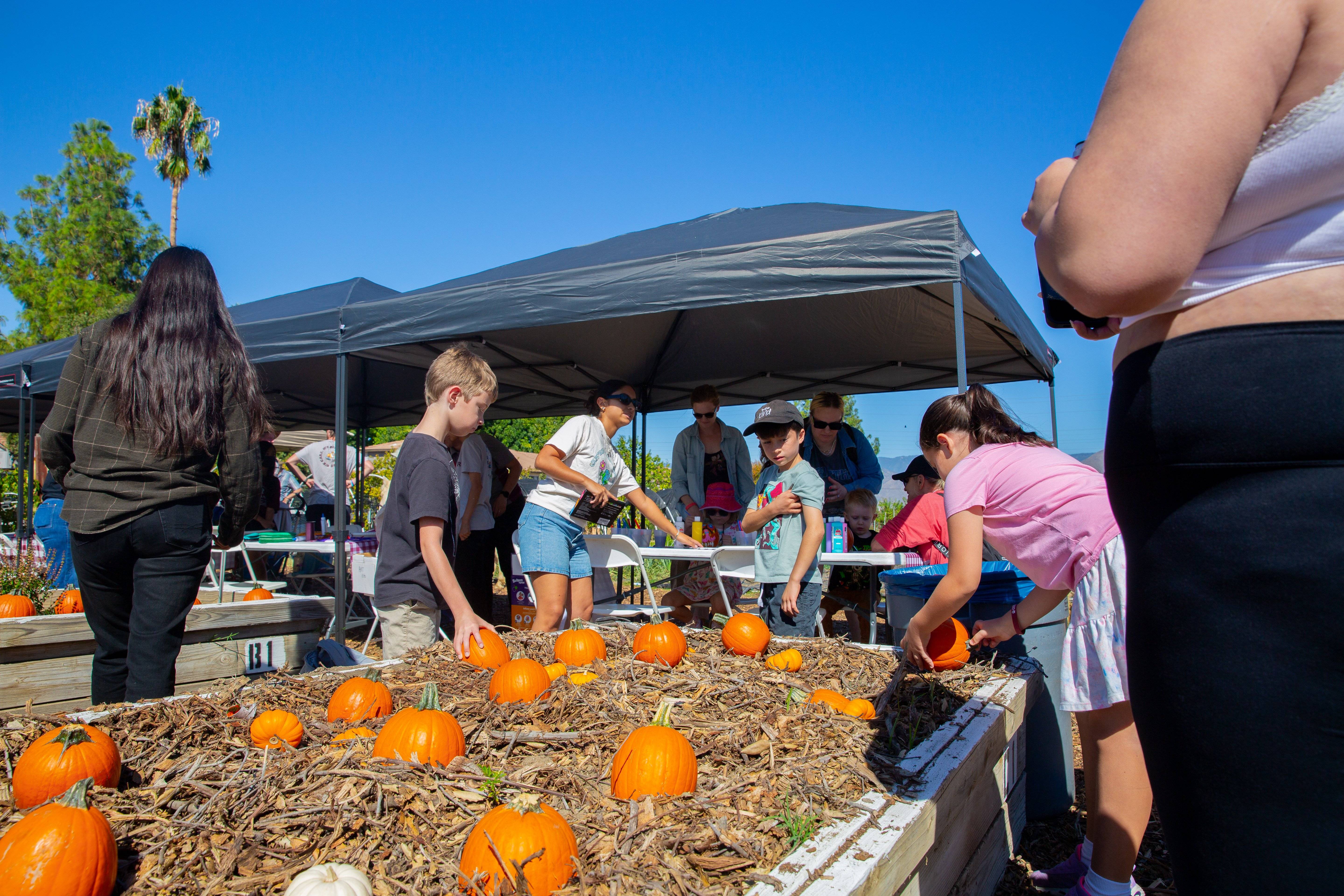 Farm fest - Homecoming2