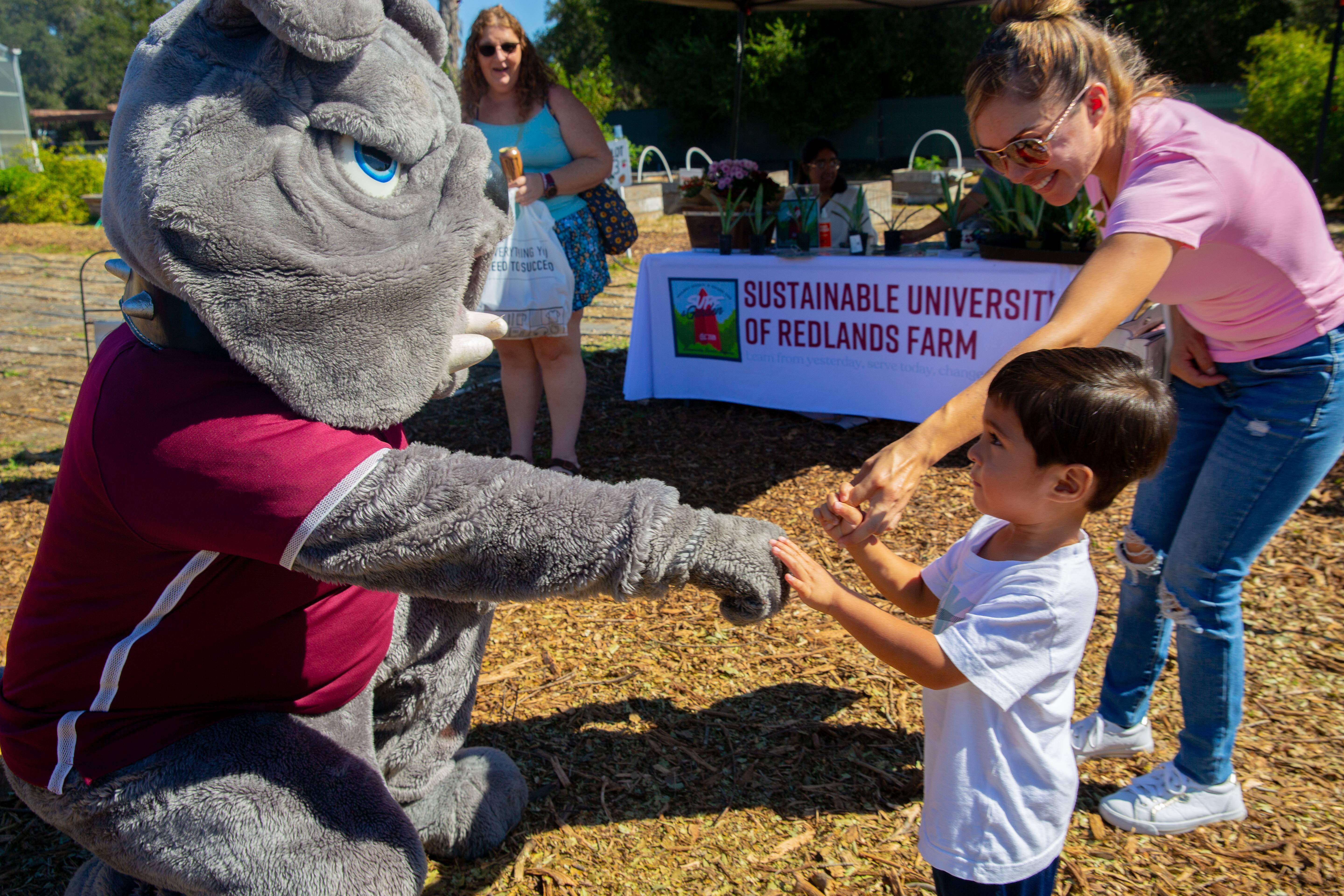 Farm fest - Homecoming3