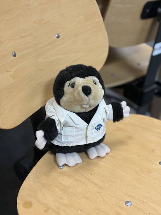 a stuffed animal on a chair