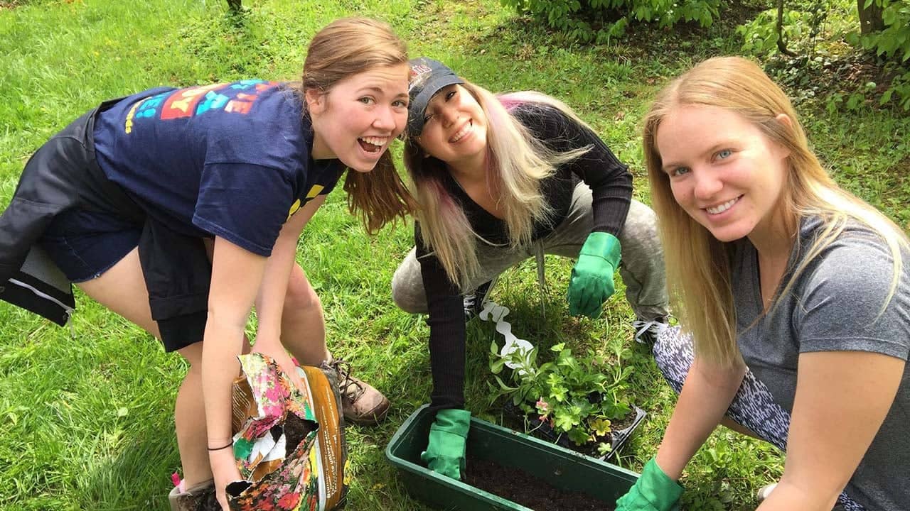 a group of women planting a plant