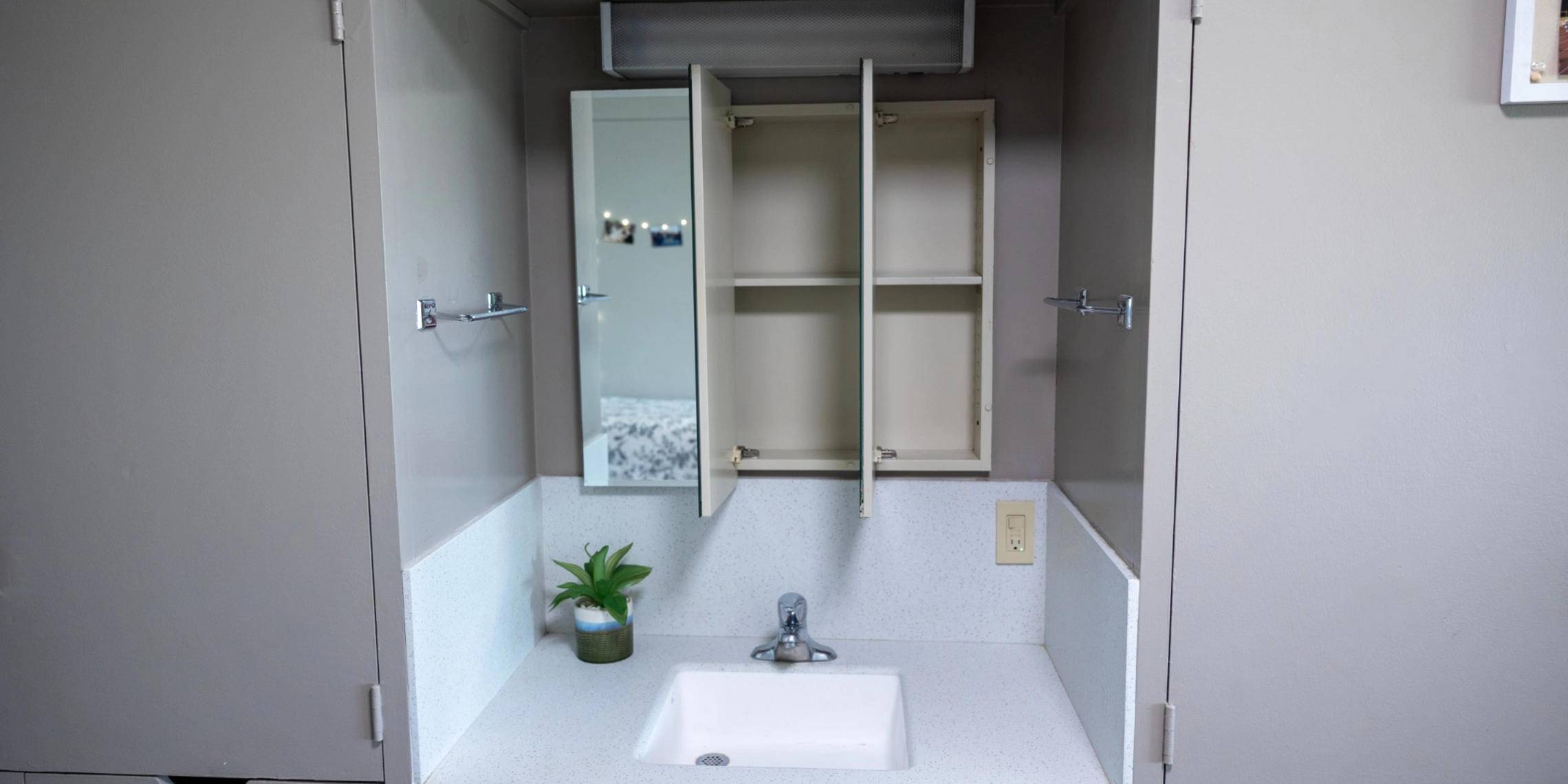 a bathroom sink with a mirror and a plant