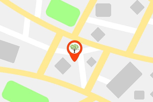 map-with-tree