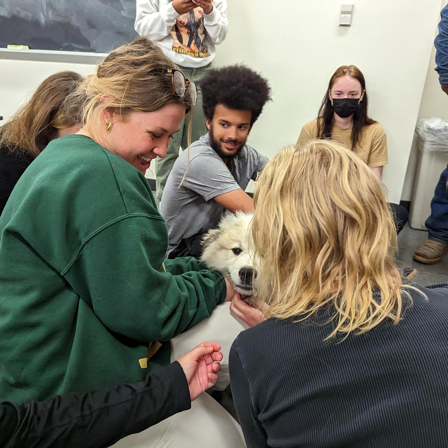 Mutiple media - Dog in Human-animal studies class