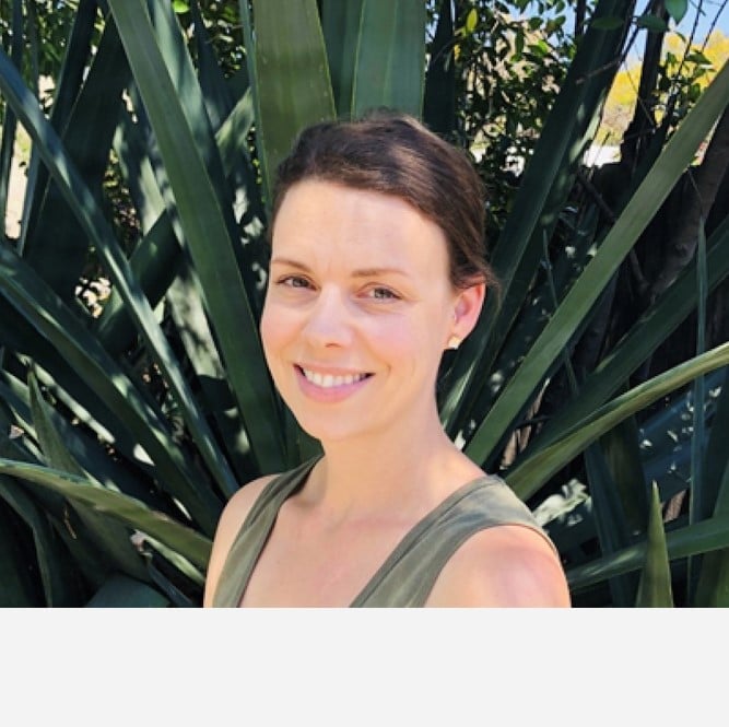 Screenshot 2024-11-13 135039