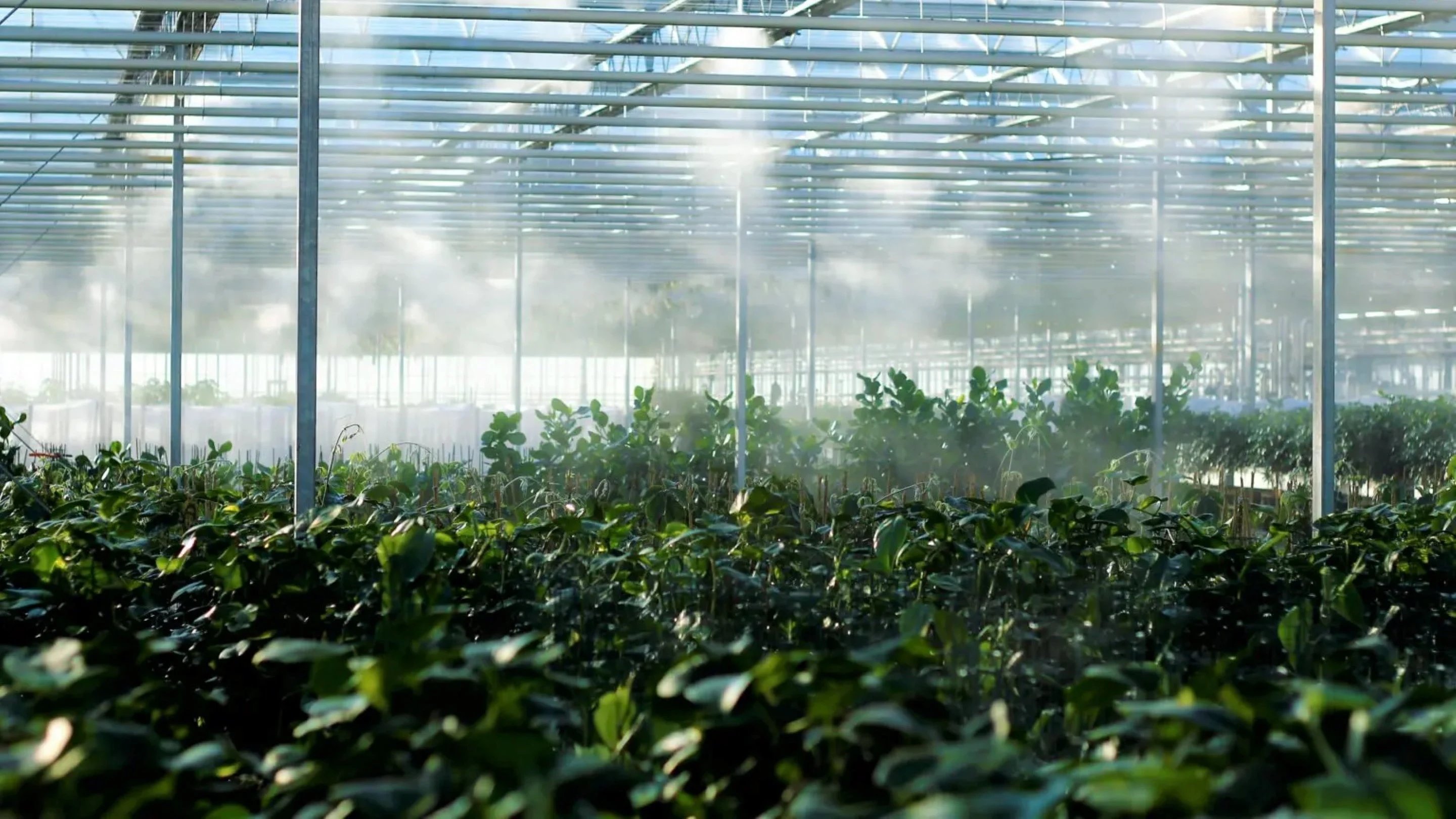 agriculture-hero-presidio-2880x1620