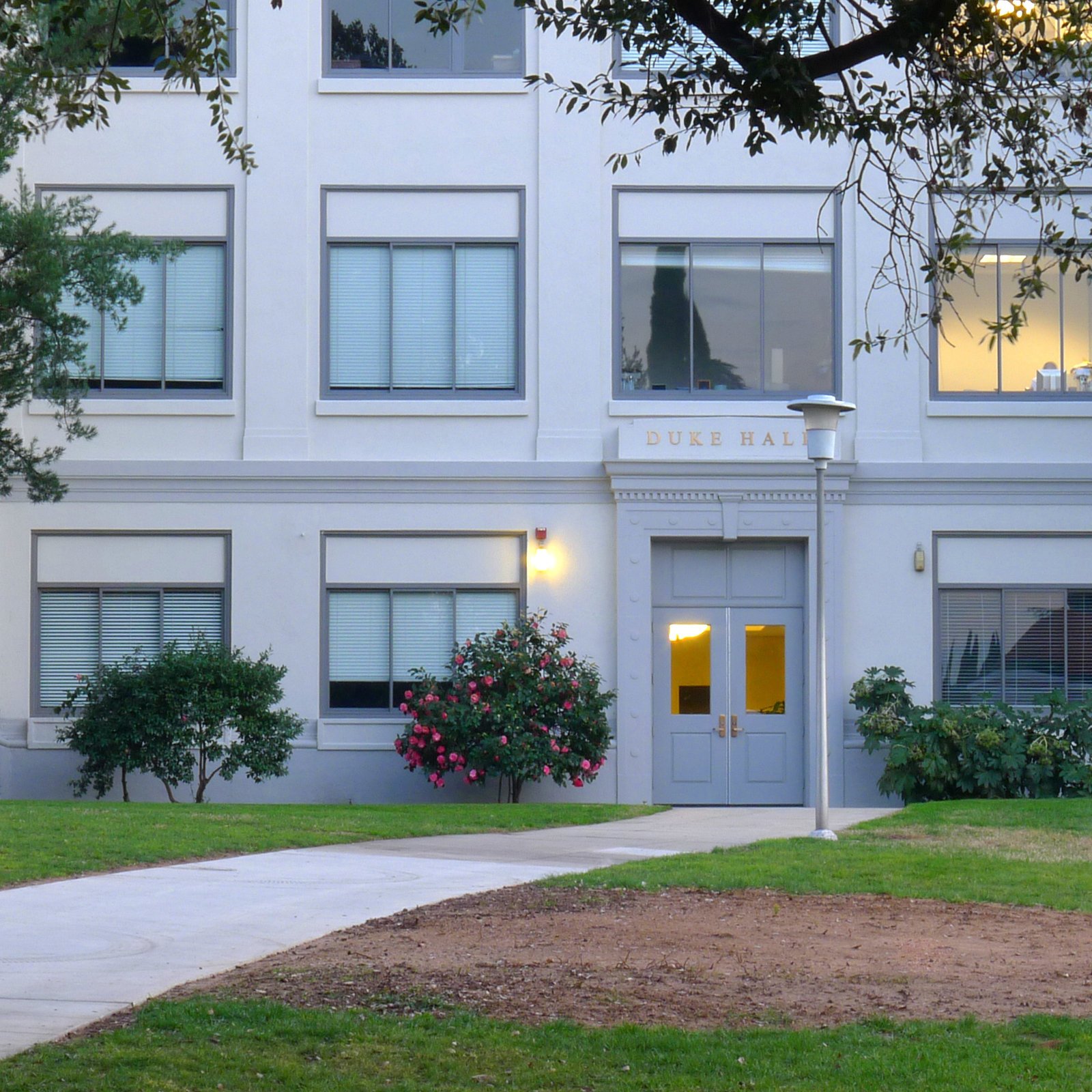a building with a path and trees