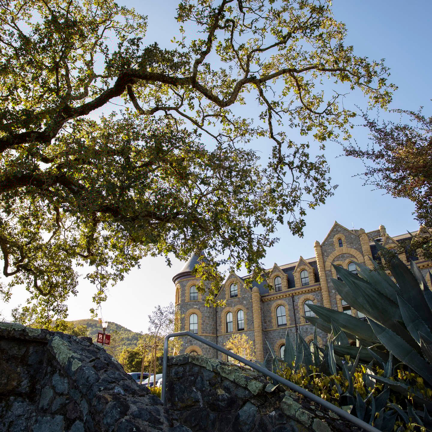 a tree next to a building