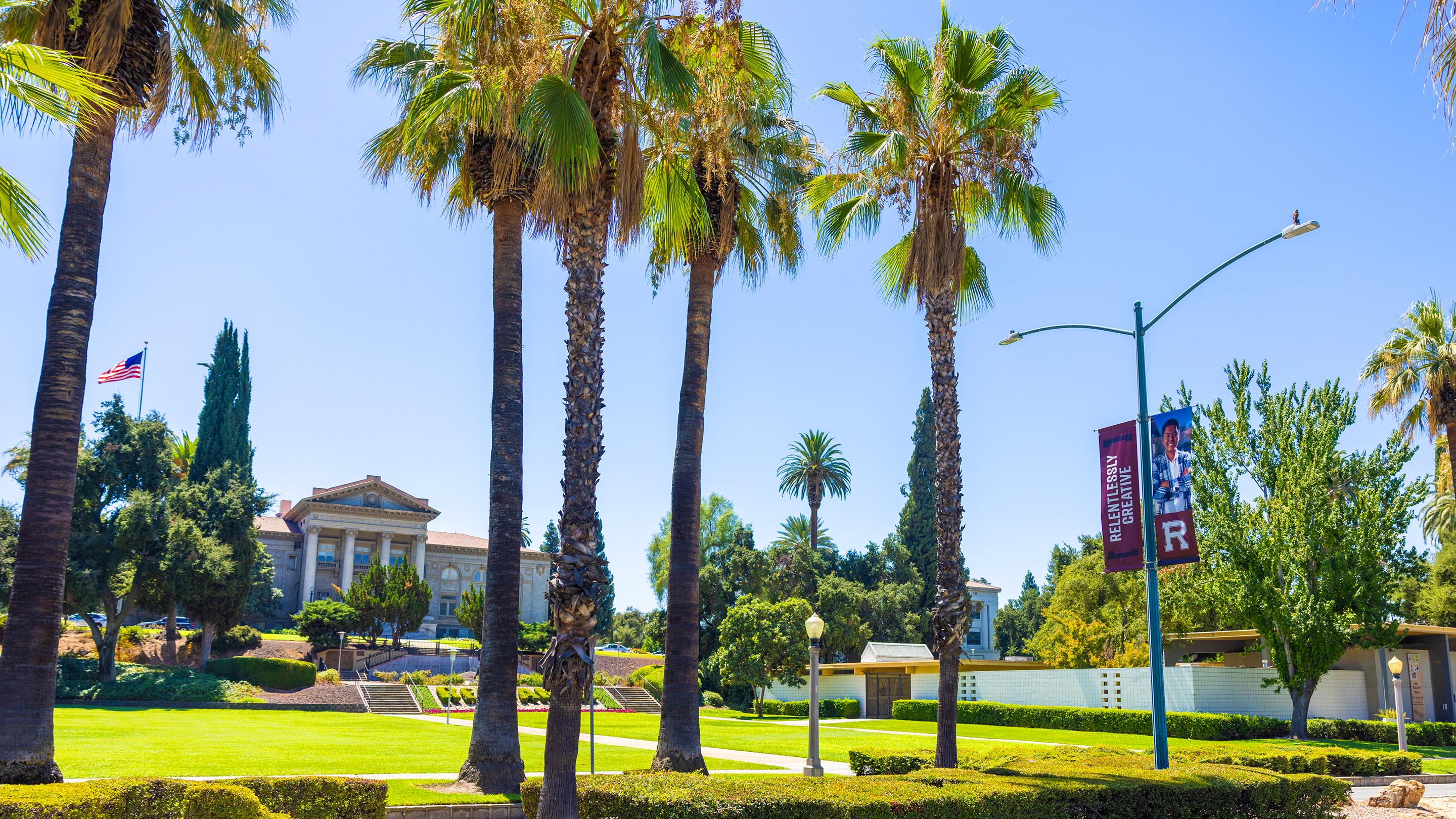 a group of palm trees in front of a building
