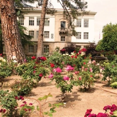 a garden with flowers in front of a building