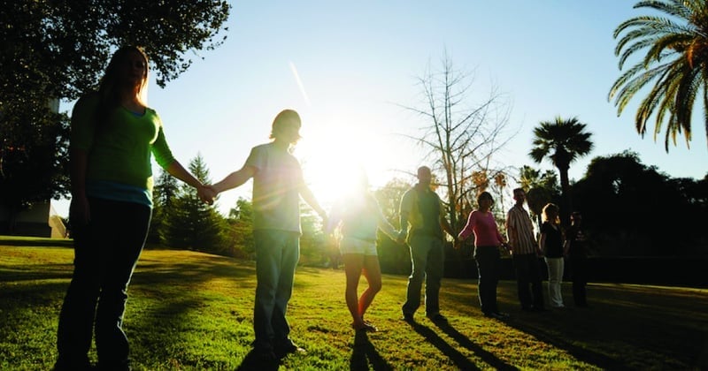 care-team-full-split