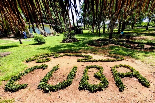 a grass field with a sign in it