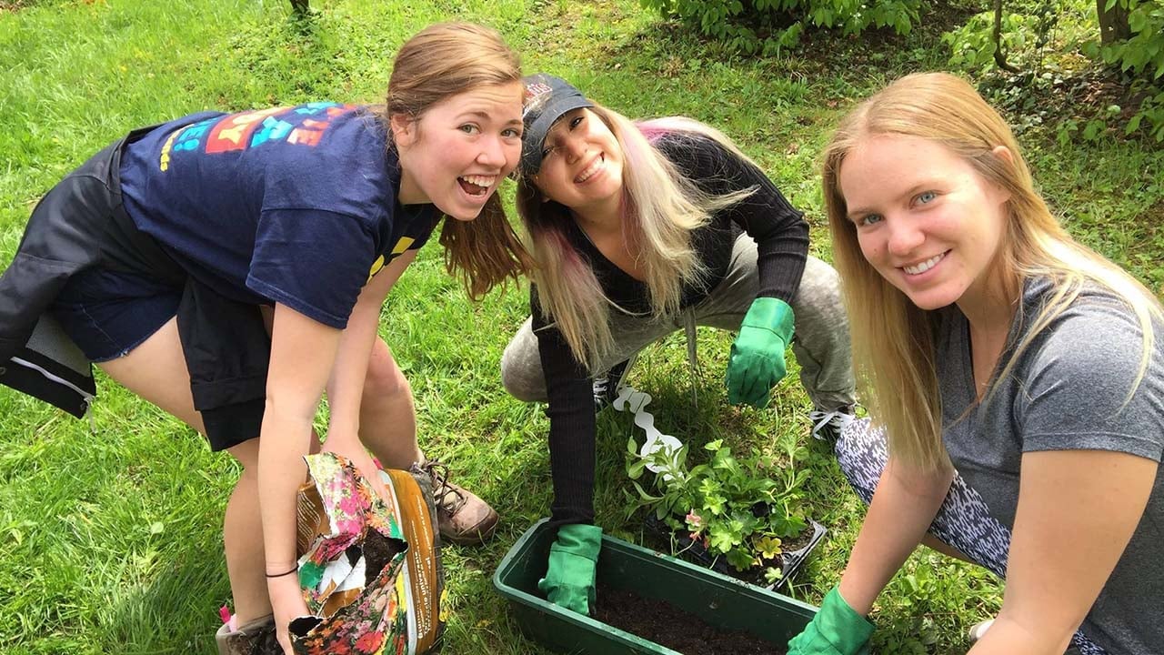 a group of women planting a plant