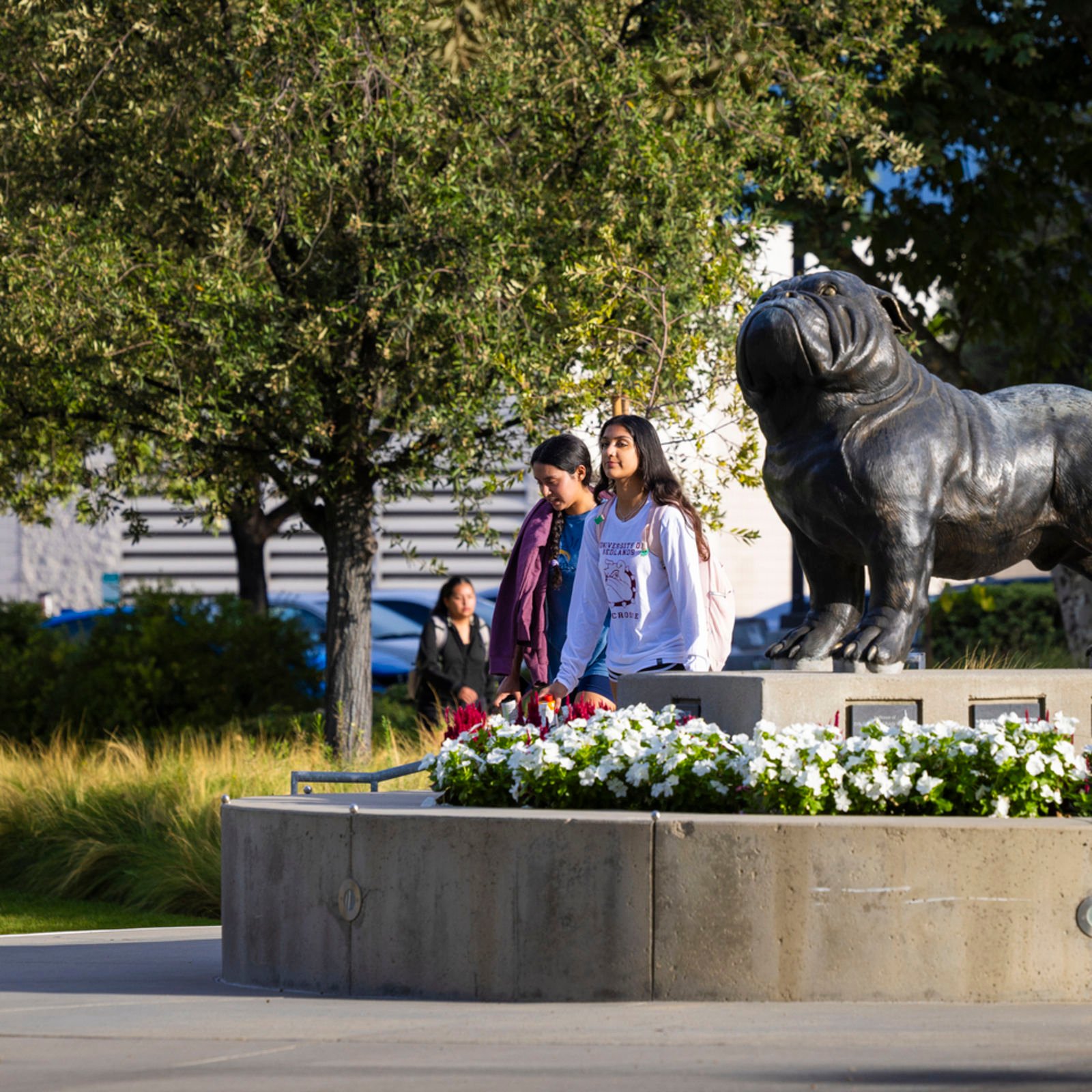a group of people standing next to a statue of a dog