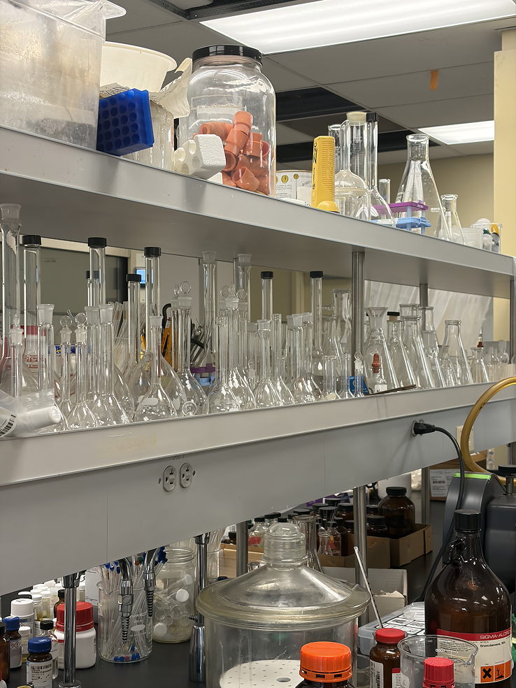 a shelf with glass beakers and other objects